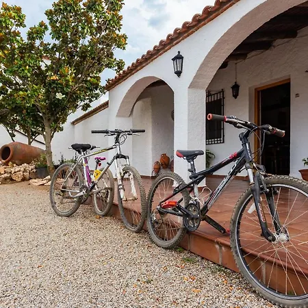 Casa Rural Finca Las Picazas Peñarroya-Pueblonuevo Exterior photo