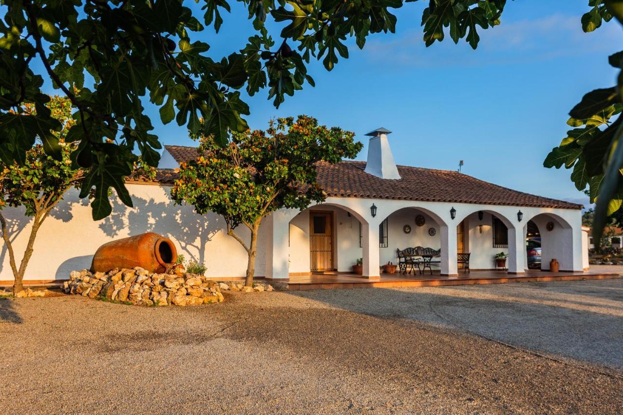 Picazas Holiday home