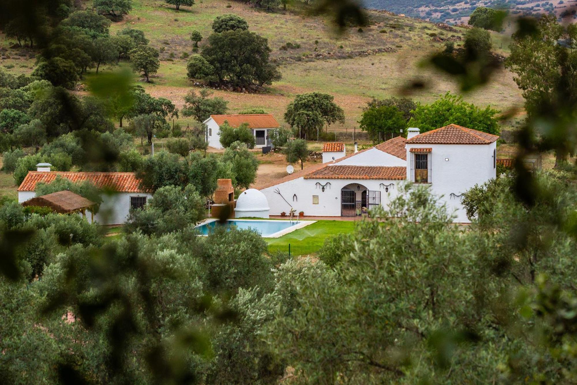 Picazas Penarroya-Pueblonuevo