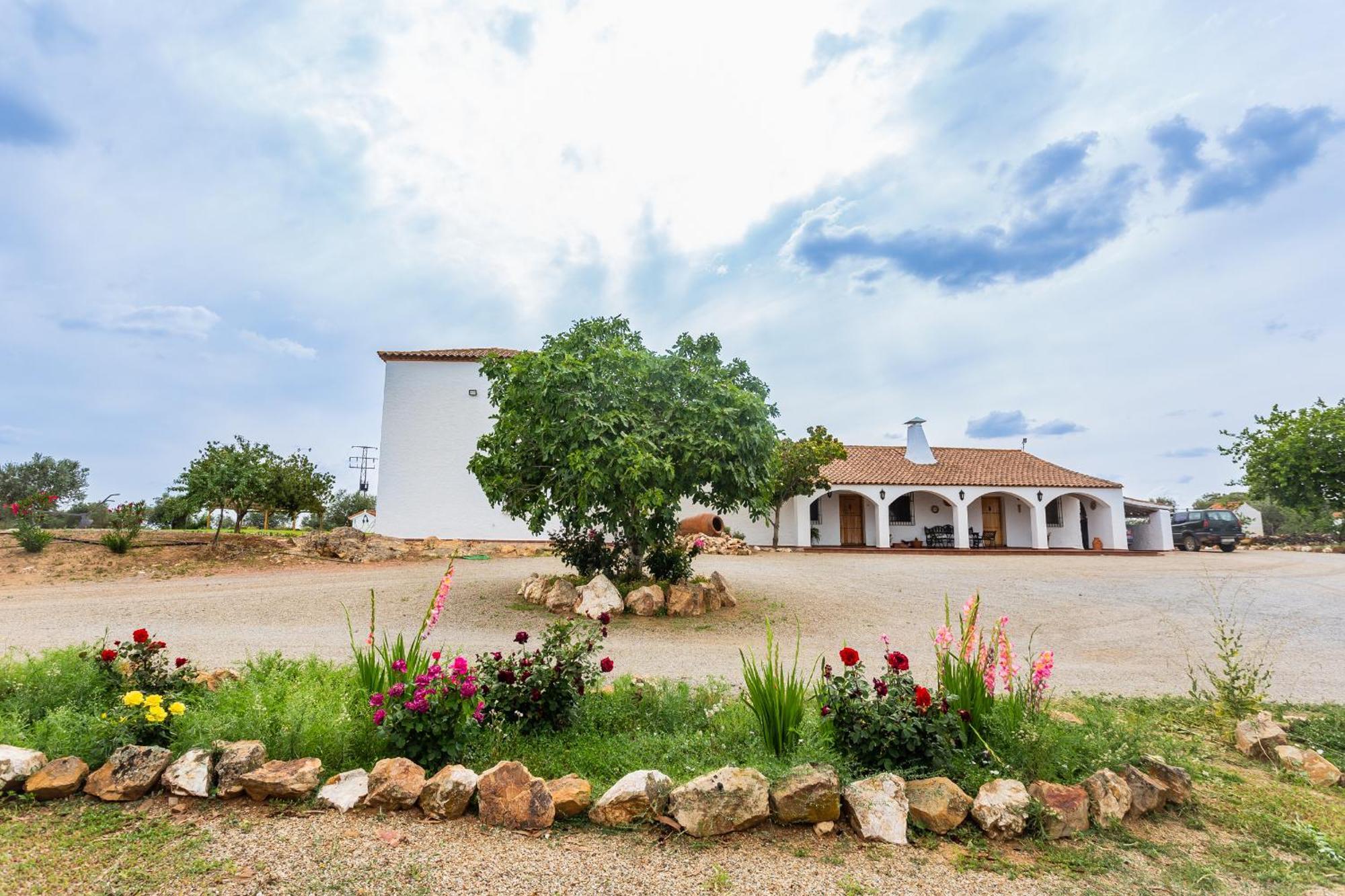 Picazas Penarroya-Pueblonuevo