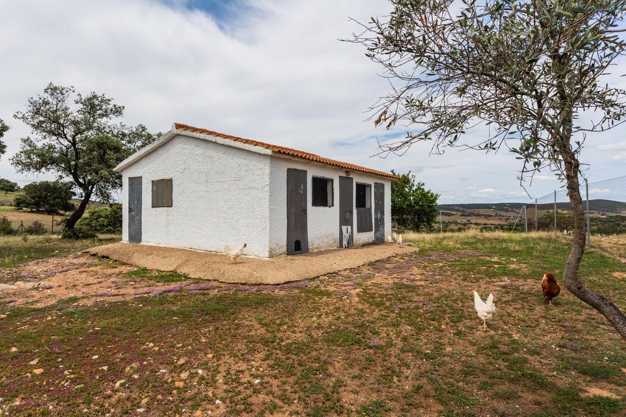 Picazas Penarroya-Pueblonuevo
